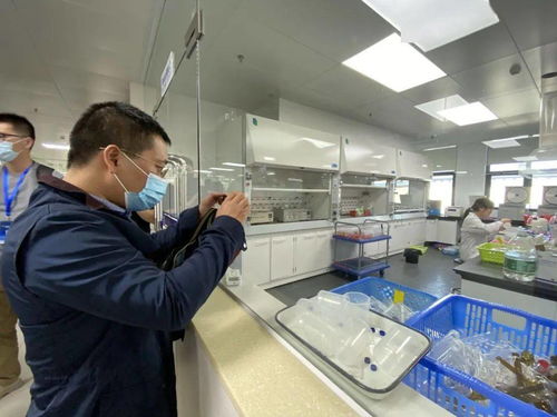 信息技術咨詢服務為‘六穩六?！峁娭?，中國—東盟檢驗檢測認證高技術服務集聚區賦能企業騰飛